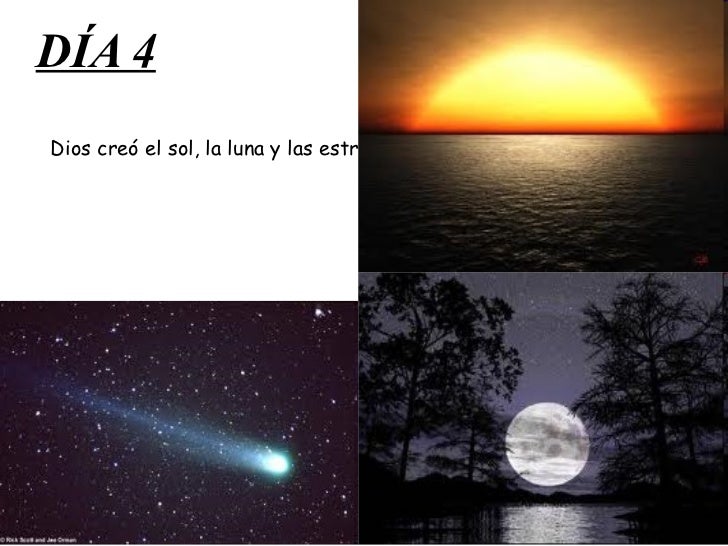 La creacion