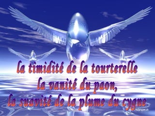 la timidité de la tourterelle  la vanité du paon, la suavité de la plume du cygne 