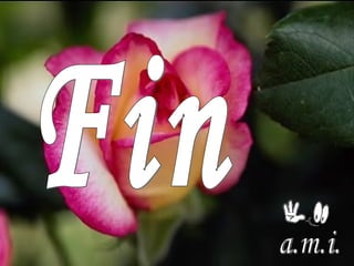 9 avril 2005 Fin a.m.i. 