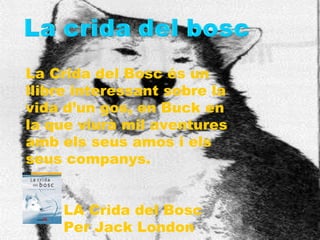 La Crida del Bosc és un llibre interessant sobre la vida d’un gos, en Buck en la que viurà mil aventures amb els seus amos i els seus companys. LA Crida del Bosc Per Jack London 