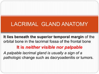It lies beneath the superior temporal margin of the
orbital bone in the lacrimal fossa of the frontal bone
It is neither visible nor palpable
A palpable lacrimal gland is usually a sign of a
pathologic change such as dacryoadenitis or tumors.
LACRIMAL GLAND ANATOMY
 