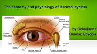 The anatomy and physiology of lacrimal system
 