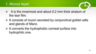 1. Mucus layer.
 It is the innermost and about 0.2 mm thick stratum of
the tear film.
 It consists of mucin secreted by conjunctival goblet cells
and glands of Manz.
 It converts the hydrophobic corneal surface into
hydrophilic one.
14
 