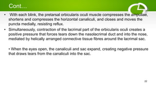 Cont…
• With each blink, the pretarsal orbicularis oculi muscle compresses the ampullae,
shortens and compresses the horizontal canaliculi, and closes and moves the
puncta medially, resisting reflux.
• Simultaneously, contraction of the lacrimal part of the orbicularis oculi creates a
positive pressure that forces tears down the nasolacrimal duct and into the nose,
mediated by helically arranged connective tissue fibres around the lacrimal sac.
• When the eyes open, the canaliculi and sac expand, creating negative pressure
that draws tears from the canaliculi into the sac.
22
 