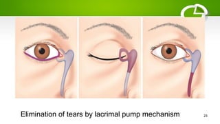 Elimination of tears by lacrimal pump mechanism 23
 