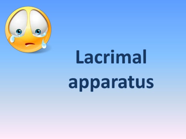 lacrimal apparatus