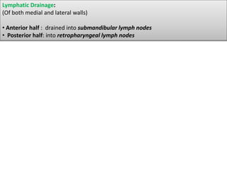Lymphatic Drainage:
(Of both medial and lateral walls)
• Anterior half : drained into submandibular lymph nodes
• Posterior half: into retropharyngeal lymph nodes
 