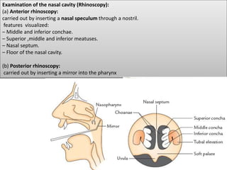 Examination of the nasal cavity (Rhinoscopy):
(a) Anterior rhinoscopy:
carried out by inserting a nasal speculum through a nostril.
features visualized:
– Middle and inferior conchae.
– Superior ,middle and inferior meatuses.
– Nasal septum.
– Floor of the nasal cavity.
(b) Posterior rhinoscopy:
carried out by inserting a mirror into the pharynx
 