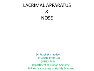 LACRIMAL APPARATUS
&
NOSE
Dr. Prabhakar Yadav
Associate Professor
(MBBS, MS)
Department of Human Anatomy
B.P. Koirala Institute of Health Sciences
 