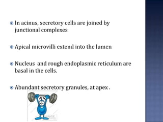 anatomy And Physiology of lacrimal secretions | PDF