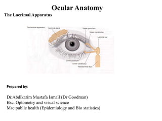 Ocular Anatomy
The Lacrimal Apparatus
Prepared by:
Dr.Abdikarim Mustafa Ismail (Dr Goodman)
Bsc. Optometry and visual science
Msc public health (Epidemiology and Bio statistics)
 