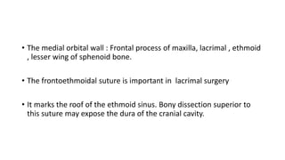 • The medial orbital wall : Frontal process of maxilla, lacrimal , ethmoid
, lesser wing of sphenoid bone.
• The frontoethmoidal suture is important in lacrimal surgery
• It marks the roof of the ethmoid sinus. Bony dissection superior to
this suture may expose the dura of the cranial cavity.
 