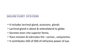 • It includes lacrimal gland, accessory glands
• Lacrimal gland is above & anterolateral to globe.
• Secretes tears into superior fornix.
• Tears moisten & lubricates the : cornea , conjunctiva.
• It contributes 43D of 50D of refractive power of eye .
 