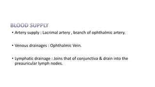 • Artery supply : Lacrimal artery , branch of ophthalmic artery.
• Venous drainages : Ophthalmic Vein.
• Lymphatic drainage : Joins that of conjunctiva & drain into the
preauricular lymph nodes.
 