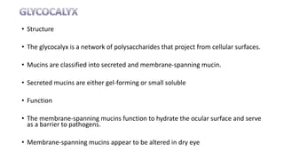 • Structure
• The glycocalyx is a network of polysaccharides that project from cellular surfaces.
• Mucins are classified into secreted and membrane-spanning mucin.
• Secreted mucins are either gel-forming or small soluble
• Function
• The membrane-spanning mucins function to hydrate the ocular surface and serve
as a barrier to pathogens.
• Membrane-spanning mucins appear to be altered in dry eye
 