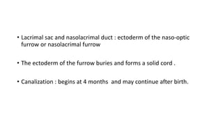 • Lacrimal sac and nasolacrimal duct : ectoderm of the naso-optic
furrow or nasolacrimal furrow
• The ectoderm of the furrow buries and forms a solid cord .
• Canalization : begins at 4 months and may continue after birth.
 