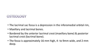 • The lacrimal sac fossa is a depression in the inferomedial orbital rim,
• Maxillary and lacrimal bones.
• Bordered by the anterior lacrimal crest (maxillary bone) & posterior
lacrimal crest (lacrimal bone).
• The fossa is approximately 16-mm high, 4- to 9mm wide, and 2-mm
deep.
 