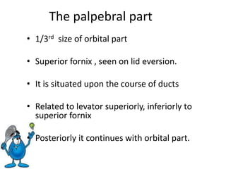 LACRIMAL SYSTEM.pptx