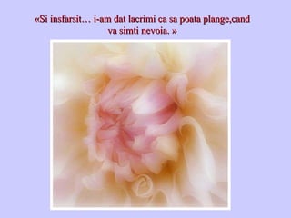 «Si insfarsit… i-am dat lacrimi ca sa poata plange,cand va simti nevoia. » 