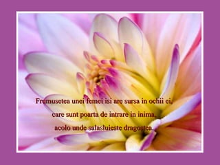 Frumusetea unei femei isi are sursa in ochii ei, care sunt poarta de intrare in inima, acolo unde salasluieste dragostea. 