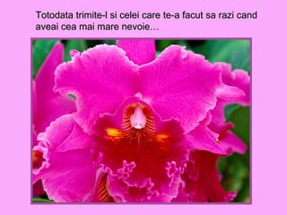 Totodata trimite-l si celei care te-a facut sa razi cand aveai cea mai mare nevoie…  