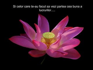 Si celor care te-au facut sa vezi partea cea buna a lucrurilor….  