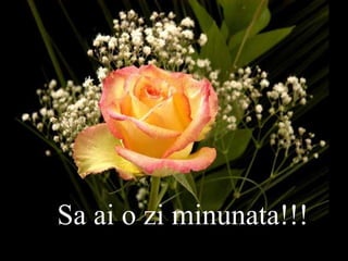 Sa ai o zi minunata!!! 