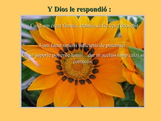 Y Dios le respondió : « Cand am creat femeia, trebuia sa fie ceva deosebit. I-am facut umerii suficienti de puternici  Ca sa suporte poverile lumii…dar in acelasi timp calzi si comozi». 