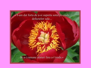 « I-am dat forta de a-si suporta sotul in ciuda defectelor sale... Si a-i ramane alaturi fara a-l trada.» 