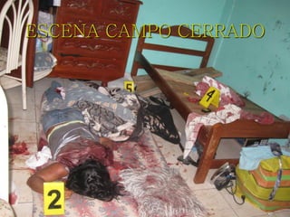 ESCENA CAMPO CERRADO
 