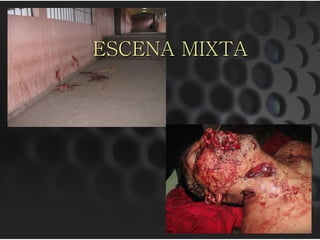 ESCENA MIXTA
 