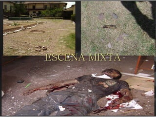 ESCENA MIXTA
 