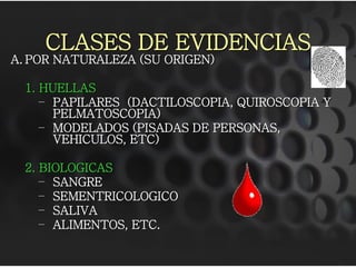 CLASES DE EVIDENCIAS
A. POR NATURALEZA (SU ORIGEN)
1. HUELLAS
– PAPILARES (DACTILOSCOPIA, QUIROSCOPIA Y
PELMATOSCOPIA)
– MODELADOS (PISADAS DE PERSONAS,
VEHICULOS, ETC)
2. BIOLOGICAS
– SANGRE
– SEMENTRICOLOGICO
– SALIVA
– ALIMENTOS, ETC.
 