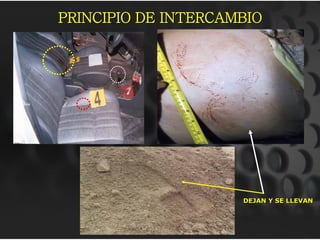 PRINCIPIO DE INTERCAMBIO
DEJAN Y SE LLEVAN
 