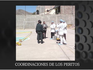 COORDINACIONES DE LOS PERITOS
 