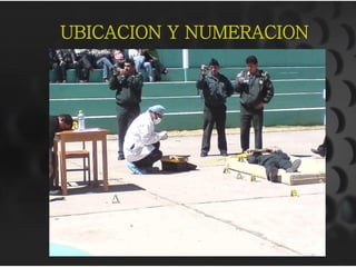 UBICACION Y NUMERACION
 
