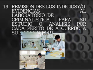 13. REMISION DES LOS INDICIOSY/O
EVIDENCIAS AL
LABORATORIO DE
CRIMINALISTICA PARA SU
ESTUDIO O ANALISIS POR
CADA PERITO DE A CUERDO A
SU ESPECIALIDAD
 