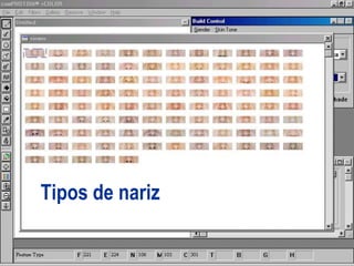 Tipos de nariz
 
