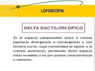 LOFOSCOPIA
 