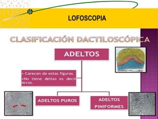 LOFOSCOPIA
 