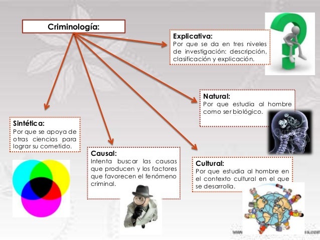 En Que Se Basa La Criminologia