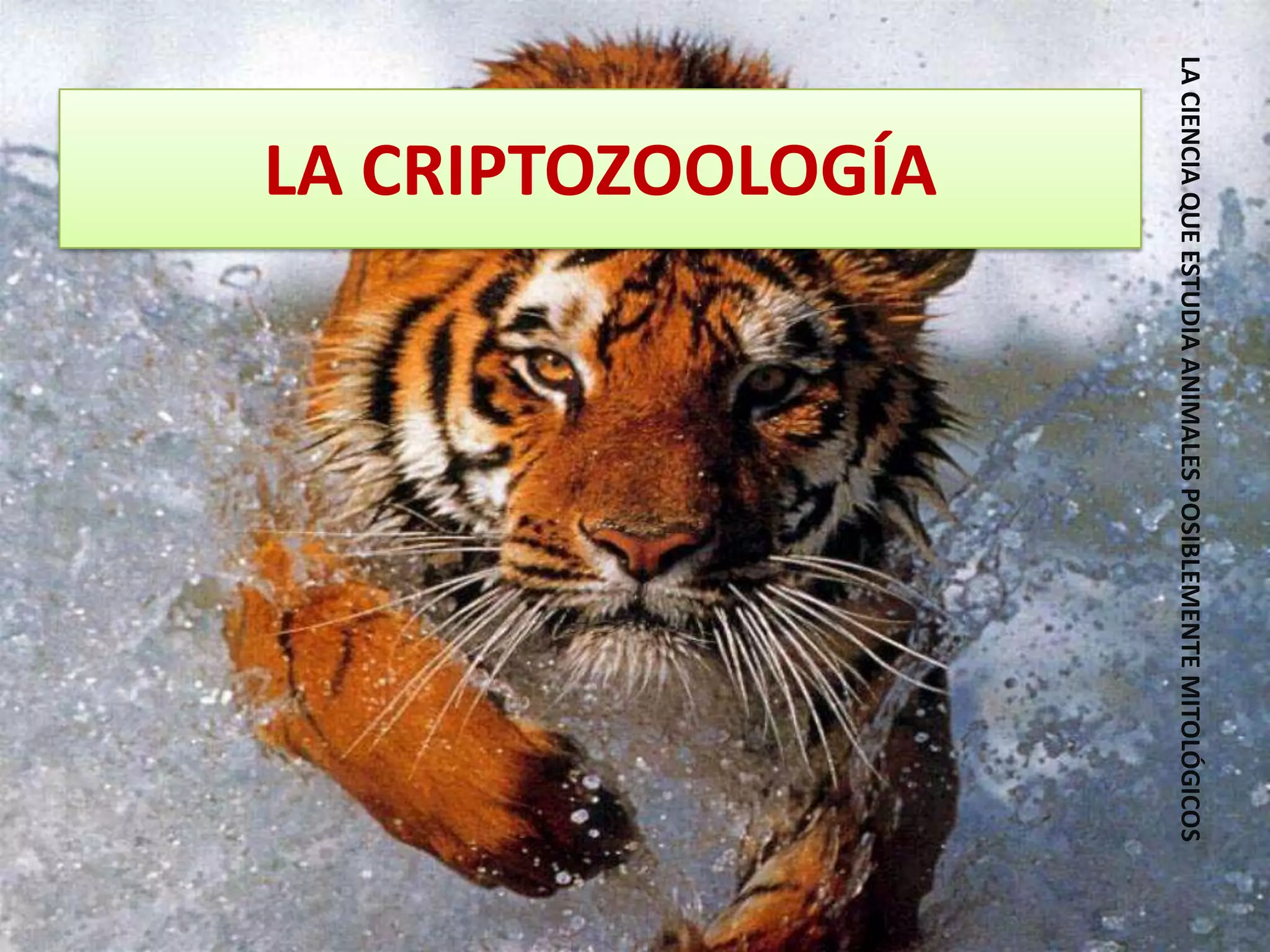 LA CIENCIA QUE ESTUDIA ANIMALES POSIBLEMENTE MITOLÓGICOSLA CRIPTOZOOLOGÍA