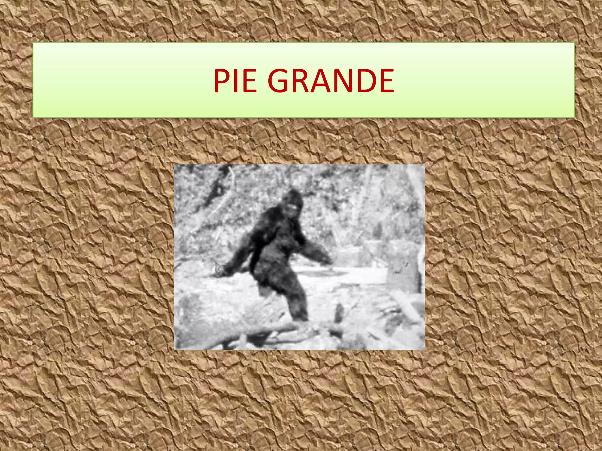 PIE GRANDE