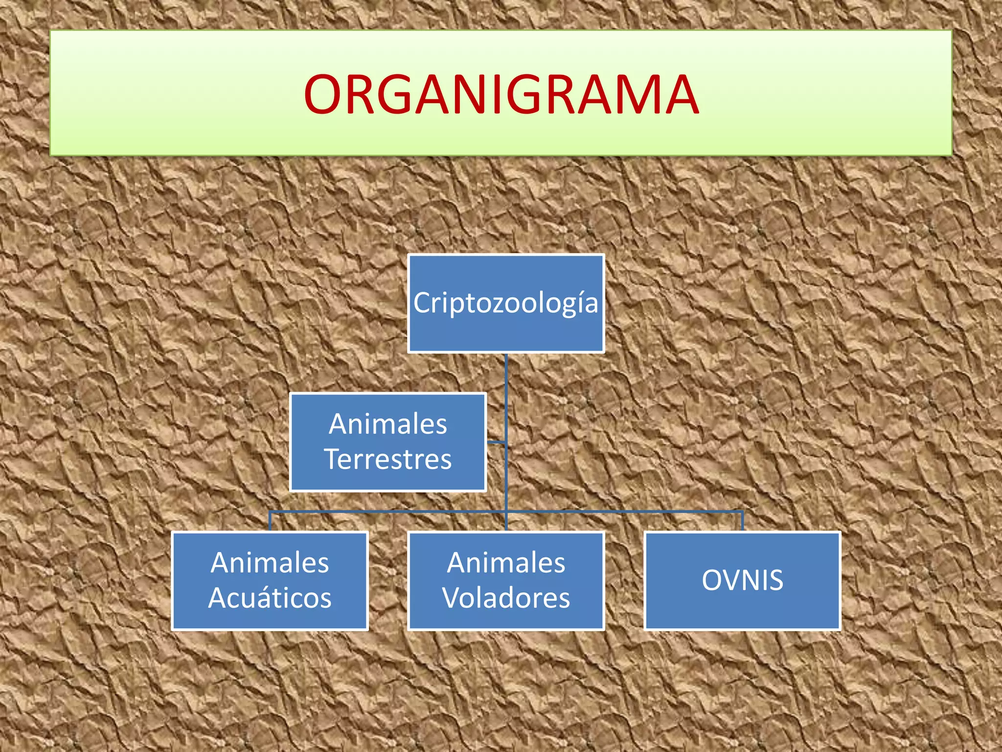 ORGANIGRAMA