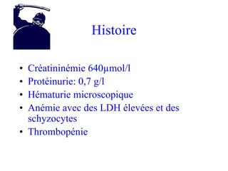 Histoire Créatininémie 640µmol/l Protéinurie: 0,7 g/l  Hématurie microscopique Anémie avec des LDH élevées et des schyzocytes Thrombopénie 