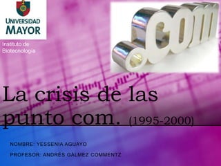 Instituto de
Biotecnología




La crisis de las
punto com. (1995-2000)
   NOMBRE: YESSENIA AGUAYO

   PROFESOR: ANDRÉS GÁLMEZ COMMENTZ
 