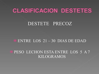 DESTETE  PRECOZ ENTRE  LOS  21 – 30  DIAS DE EDAD PESO  LECHON ESTA ENTRE  LOS  5  A 7 KILOGRAMOS 
