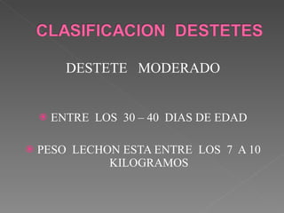DESTETE  MODERADO ENTRE  LOS  30 – 40  DIAS DE EDAD PESO  LECHON ESTA ENTRE  LOS  7  A 10 KILOGRAMOS 