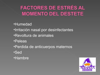 Humedad Irritación nasal por desinfectantes Revoltura de animales Peleas Perdida de anticuerpos maternos Sed Hambre 