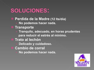 Perdida de la Madre  (12 lts/día) No podemos hacer nada. Transporte Tranquilo, adecuado, en horas prudentes para reducir el estrés al mínimo. Trato al lechón  Delicado y cuidadoso. Cambio de corral No podemos hacer nada. 
